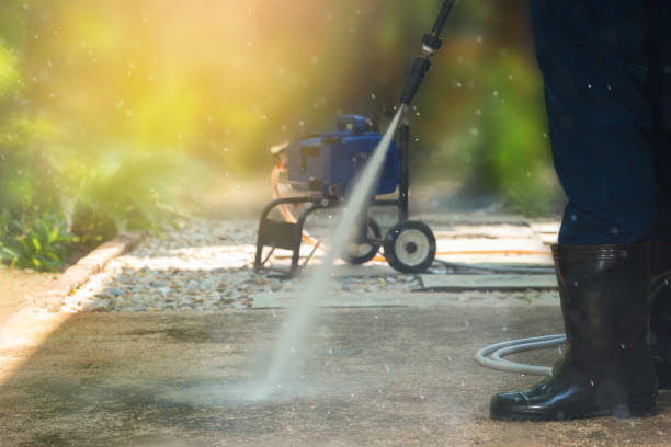 Animal Enclosure Cleaning in Nokesville, VA